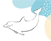 イルカのイラスト