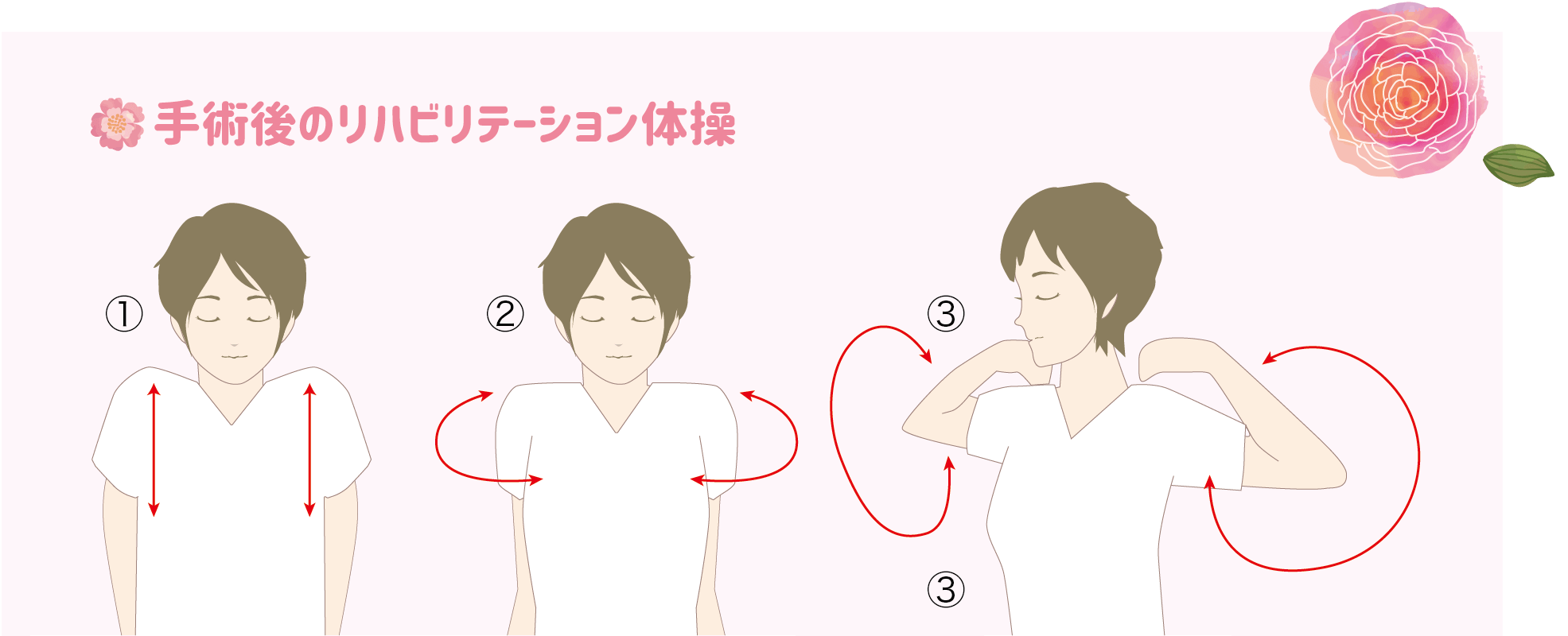 乳がんガイドブック内容